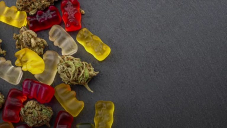 THCP Gummy Guide The Ultimate Experience for Relaxation Seekers