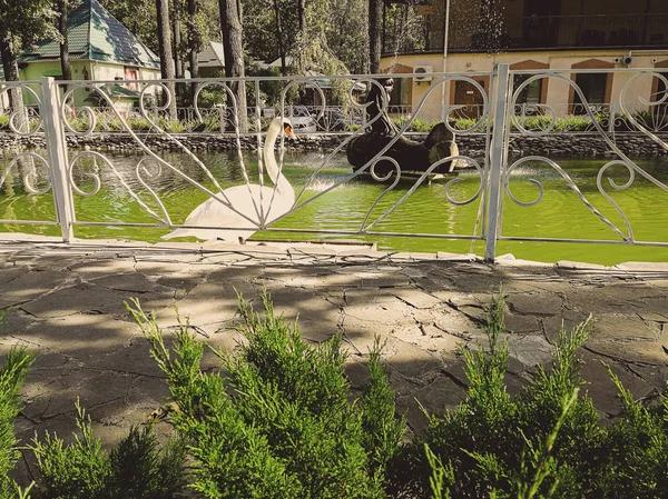 Why More Vacationers Are Choosing Westgate Resorts for Their Getaways